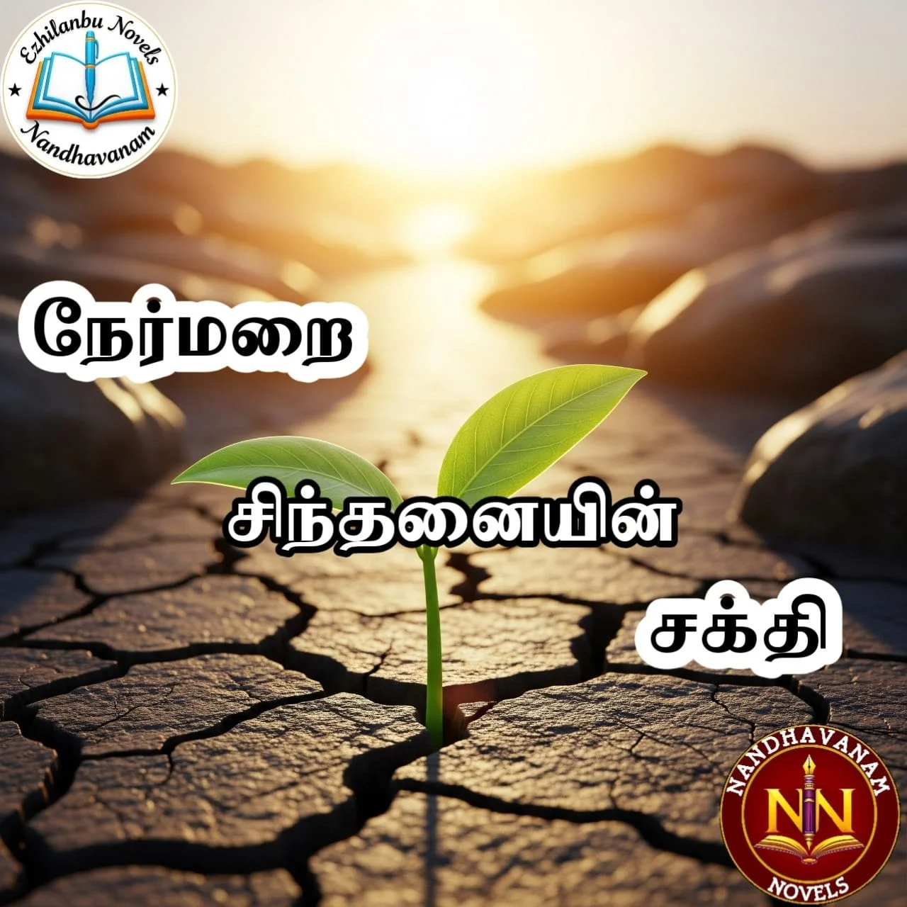 1000237989.webp